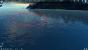 Anno 2205: Wir lieben Flipper!