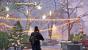 The Division: Das längste Weihnachten aller Zeiten - optisch macht die Deko einiges her, gerade bei Nacht.