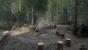 Kingdom Come: Deliverance, Beta - Versteckter Lagerplatz im Wald