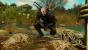 Spannend: Die Story ist wie die meisten Witcher-Quests im Stil einer Detektivgeschichte aufgebaut.