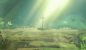 The Legend of Zelda