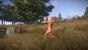 In Rust geht es ähnlich aggressiv zu wie in DayZ. Allerdings haben sich auf einigen Servern schon Territorien für bestimmte Spielertypen gebildet.