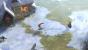 I Am Setsuna im Test. (6)