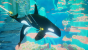 Abzu im Test - Tolles Naturschauspiel mit kurzer Spielzeit.