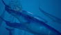 Majestätisch: Eine Schule Blauwale taucht gen Meeresgrund und nimmt dabei Fischschwarm-Häppchen zu sich. Ein beeindruckender Moment! (PS4)