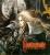 Besser gut geklaut als schlecht selbst gemacht: Mit dem ersten Castlevania auf der PlayStation schlug Konami eine neue Richtung ein.