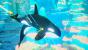 Abzu - Übernimmt Sony den Indie-Entwickler Giant Squid?