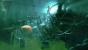Silence: Das neue Grafik-Adventure der Macher von The Whispered World macht einige Dinge anders als üblich im Genre.