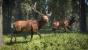 Die gefeierte Jagd-Simulation theHunter: Call of the Wild gibt es bei Steam zum Bestpreis. (1)
