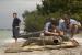 Call Me by Your Name: Review zum sommerlichen Coming-of-Age-Drama (1)