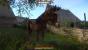 Plötze kennen Hexer-Fans schon aus The Witcher 3. Nun mischt das Pferd auch in Kingdom Come als Easter Egg mit.