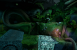Moss ist ein absolut schönes, magisches Abenteuer für PSVR. Im Virtual-Reality-Spiel verfolgt ihr die kleine Maus Quill auf ihrer Reise.