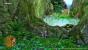Auch satte Natur gehört zur Welt von Dragon Quest 11. Hier durchquert ihr einen urtümlich anmutenden Wald.