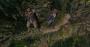 Shadow of the Tomb Raider im Test. (3)