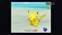 Dieses Foto wird bei der späteren Bewertung durch den Professor wohl durchschnittliche Punkte bringen. Besser wäre eine andere Pose oder weitere Pikachu.