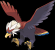 #628: Washakwil