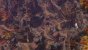 Spellforce 3: Soul Harvest im Test