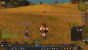 Zum Launch von World of Warcraft Classic gibt es auch deutsche Realms. (4)