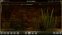 Biotope: Wir haben uns die Early-Access-Version des Aquarium-Simulators angeschaut.