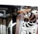 Es wird eng: Der oben montierte 280mm-Radiator (links) kommt dem 360mm-Radiator sehr nahe - die Anschlüsse und Schläuche passen gerade noch so.