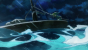 Das hübsche Intro in Anime-Optik stimmt noch vor dem Titelbildschirm gekonnt auf das Insel-Abenteuer ein.