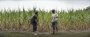 The Peanut Butter Falcon: Filmkritik zum abenteuerlichen Drama (1)