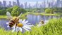 Test zu Bee Simulator: Mit den süßen Honigproduzenten auf Du und Du