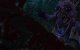 Alleine das Thema eines totgeborenen Babys ist schon ein Tabubruch, aber mit der expliziten Darstellung eines Albtraum-Fötus überrascht uns The Witcher 3 dann doch.