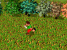 Dream (SNES)