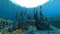 Thermal Spires