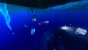 Symbiont