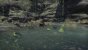 TESO: Blackwood -&nbsp;Alte Todwarze