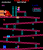 Donkey Kong war eine Revolution. Nicht nur, weil diese Art von Plattformer neu war, auch die Darstellung der Charaktere und des Szenarios waren ungewöhnlich für ein Spiel dieser Zeit.