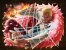 Donquixote Doflamingo (auch De Flamingo) dominiert den gewaltigen Dressrosa-Arc in One Piece