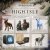 TESO: Wenn ihr High Isle vorbestellt, könnt ihr euch diese Ingame-Goodies sichern.