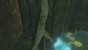 Der "wilde" Link hat auch im neuen Trailer einen Auftritt.