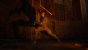 Gotham Knights im Test: Und dafür ist Batman draufgegangen!? (13)