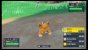 Karmesin und Purpur haben zusätzlich zu bekannten Pokémon diverse neue Monster im Gepäck.
