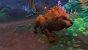 Warum ist WoW Dragonflight so gut? Eine der größten Streamerinnen erklärt es (1)