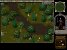 Ultima Online