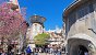 Das Galaxy’s Edge im Disneyland Anaheim – Ein Erlebnisbericht (3)