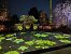 Nur in Japan: Eine Lichtershow in diesem Tempel machte die Bauwerke noch schöner als ohnehin!