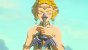 The Legend of Zelda