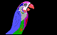 Screengrab des SB Parrots