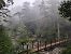 Mit dem Bus hierherkommen? Eine Qual. Spätestens in entlegenen Gegenden wie Yakusugiland auf Yakushima ist ein Mietwagen ein Muss. Und somit auch eine Führerschein-Übersetzung.