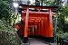 Ikonisch wie sonstwas: Die sogenannten "Tori" (Japanisch für Tor, kein Witz) zieren den Hügel des Schreins Fushimi Inari-Taisha in Kyoto