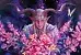 "Lorwyn Eclipsed" zählt zu einem der erfolgreichsten "In-Universe"-Sets von Magic The Gathering, das es jemals gab.