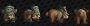 WoW: Amanistamm:&nbsp;<a class="posRel pe-4" href="https://www.wowhead.com/de/item=250863/naloki"><strong>Naloki</strong><span class="icon extLinkIcon posAbs"></span></a>&nbsp;