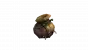 WoW: Harati-Fraktion:&nbsp;<a class="posRel pe-4" href="https://www.wowhead.com/de/decor/fungianischer-sack-8916"><strong>Fungianischer Sack</strong><span class="icon extLinkIcon posAbs"></span></a>