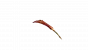 WoW: Silbermond-Fraktion:&nbsp;<a class="posRel pe-4" href="https://www.wowhead.com/de/decor/ph%C3%B6nixfederkiel-der-sindorei-14640"><strong>Phönixfederkiel der Sin'dorei</strong><span class="icon extLinkIcon posAbs"></span></a>